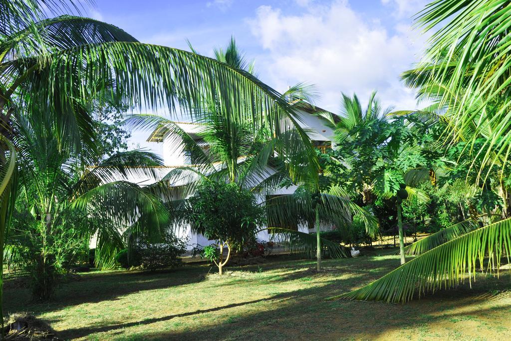 ホテル Coconut Garden House ウダワラウェ エクステリア 写真