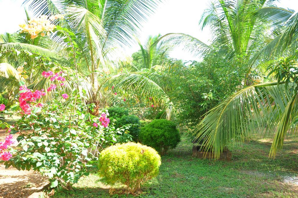ホテル Coconut Garden House ウダワラウェ エクステリア 写真