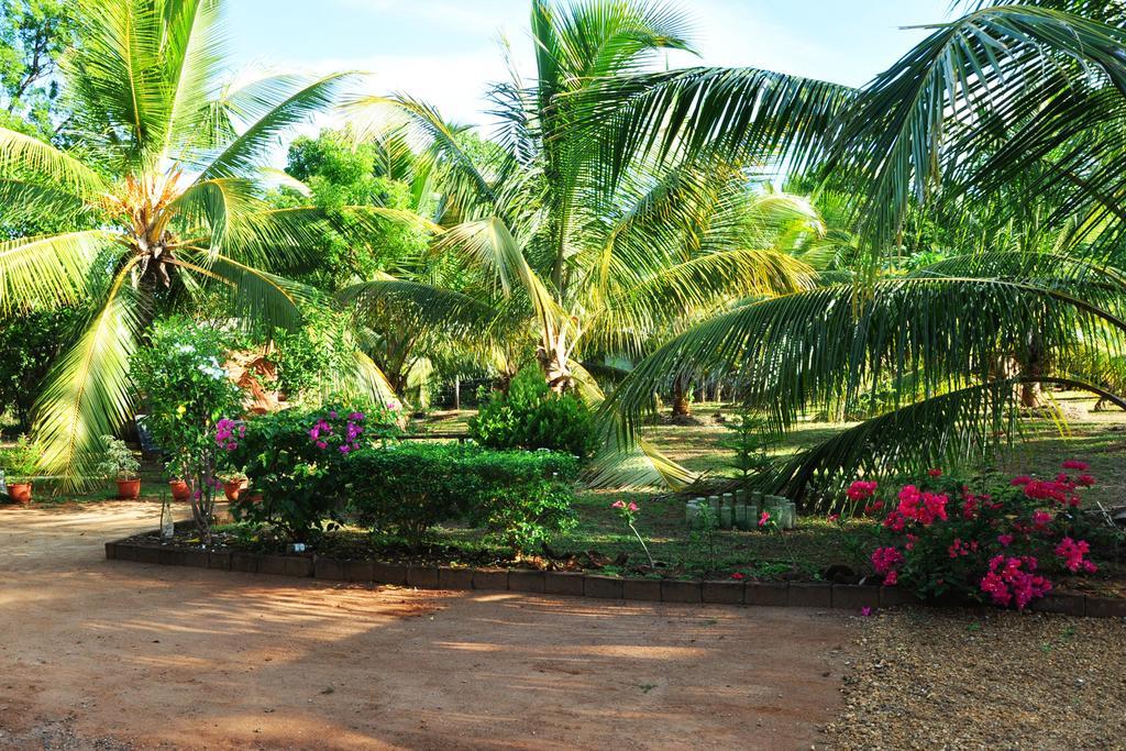 ホテル Coconut Garden House ウダワラウェ エクステリア 写真