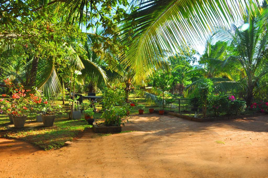 ホテル Coconut Garden House ウダワラウェ エクステリア 写真
