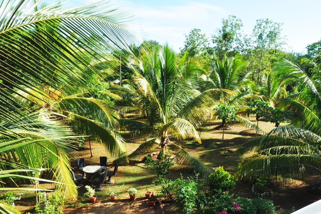 ホテル Coconut Garden House ウダワラウェ エクステリア 写真